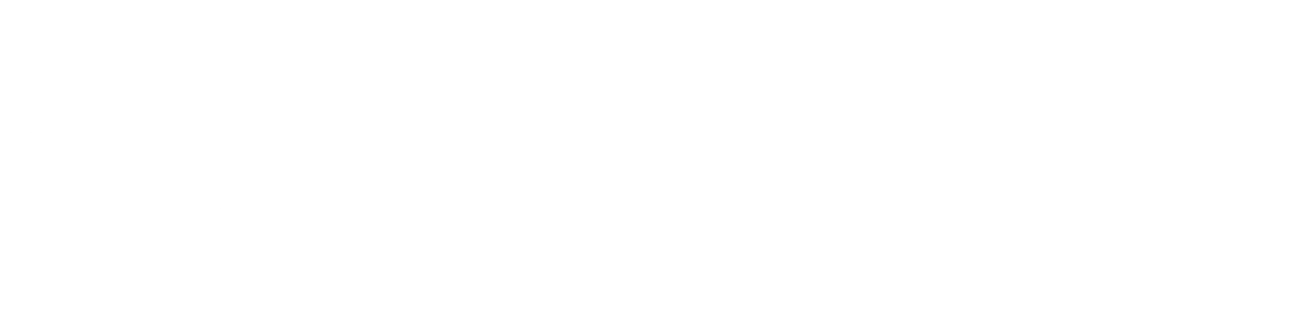 Raylx Professional Laser Shows and Rentals Logo
